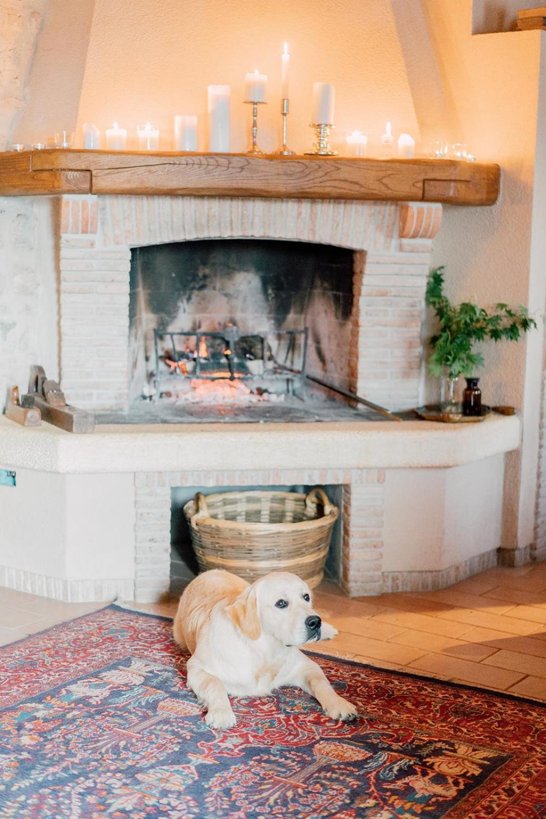 Agriturismo Il Conte Vassallo Miane Dış mekan fotoğraf